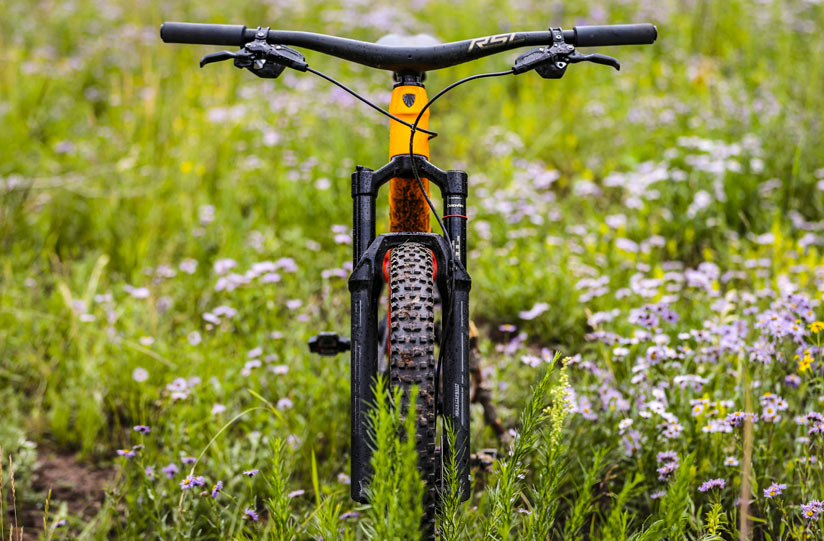 Jam Session amb César Cañas